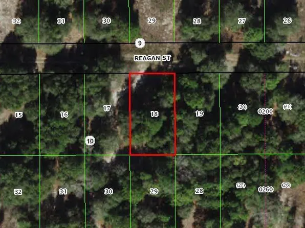 2311 Reagan St, Inverness, FL 34453