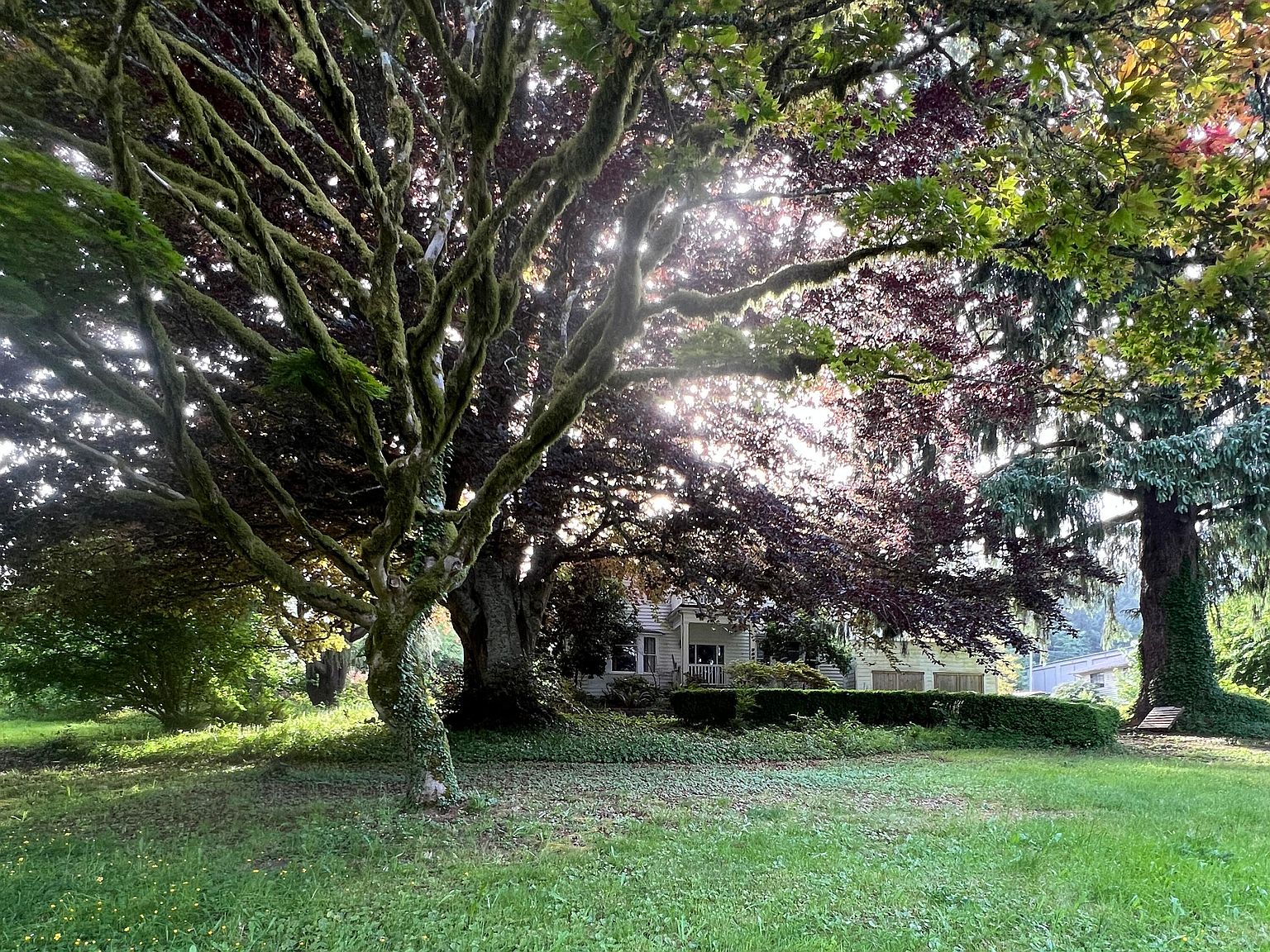 Juli✴︎ 36280 7th St, Nehalem, OR 97131 | Zillow