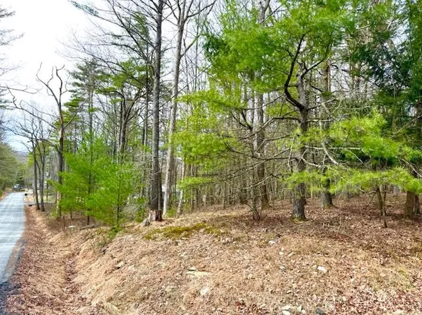 Lot 11 Magnolia Drive, Glen Spey, NY 12737