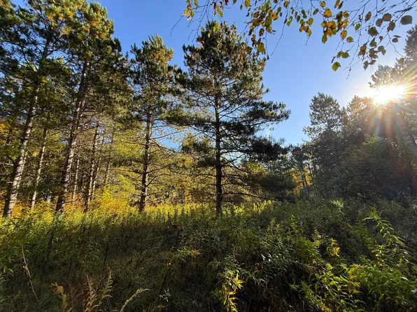 540th Ln, Palisade, MN 56469