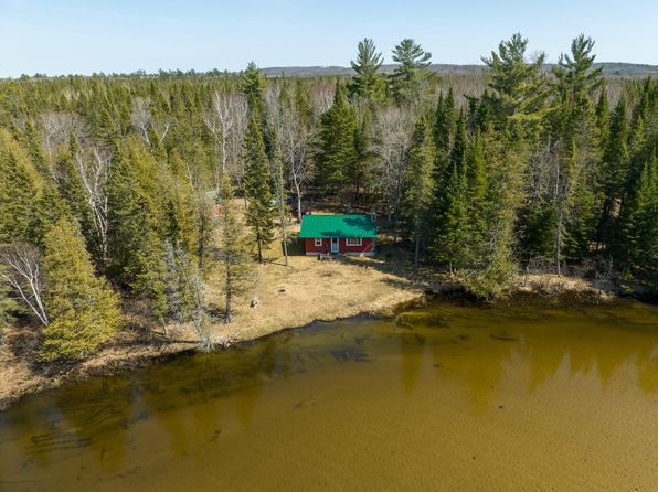12447 Cold River Dr SE, Fife Lake, MI 49633