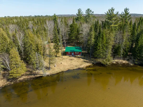 12447 Cold River Dr SE, Fife Lake, MI 49633