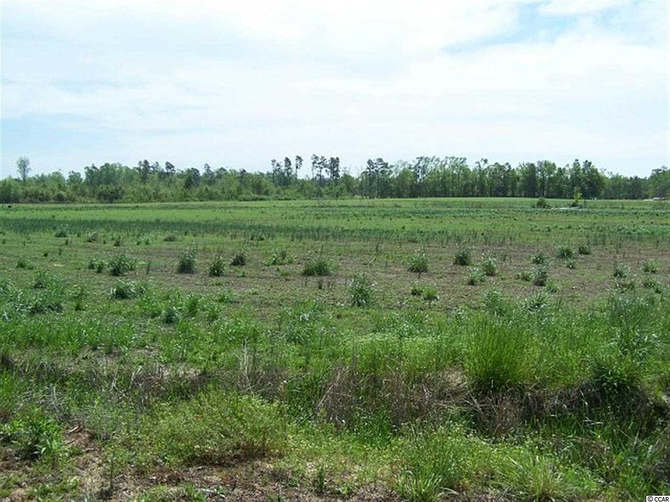 2nd image of TBD Pee Dee Hwy. #6.11 Acres