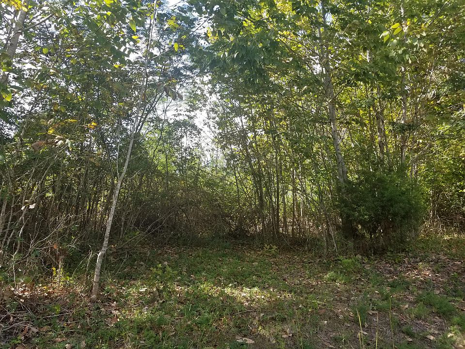 2nd image of 48 Backbone Rd