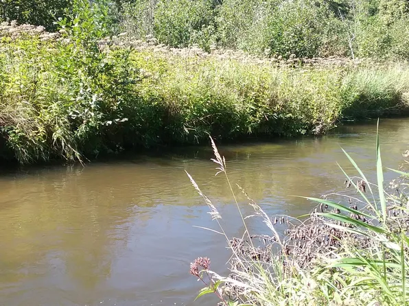 Bear Paw Rdg, Indian River, MI 49749