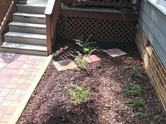 Path from Rear Deck to Drive