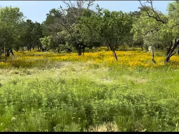 259 Jayden Ln, Loving, TX 76460