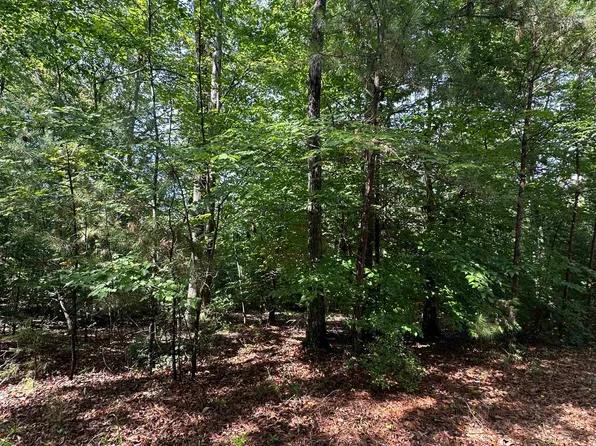 Old Buncombe Rd, Union, SC 29379