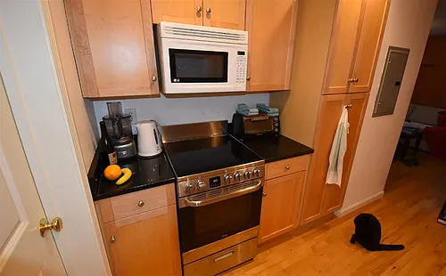 241 Hurley St #1 Photo 1 241 Hurley St #1 Photo 1