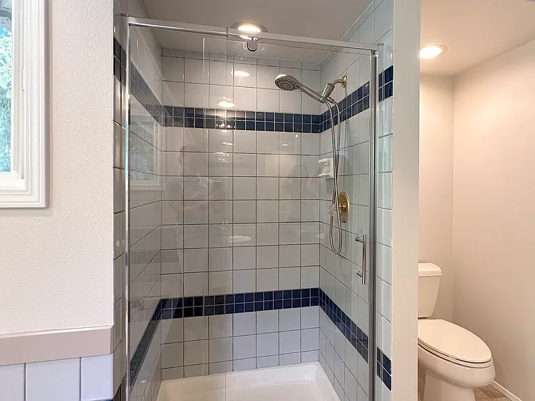 Master bathroom shower