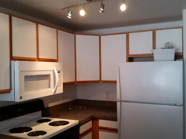 50 Wildernest Ct, Dillon, CO 80498