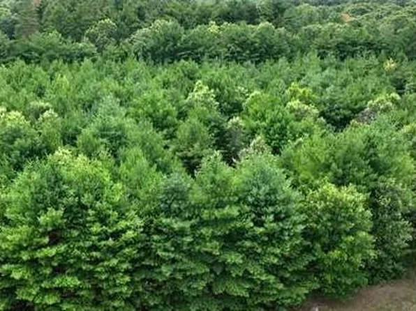 L16 Sandy Pines Court #16, Redgranite, WI 54970