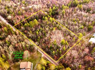 N Astor Rd, Irons, MI 49644