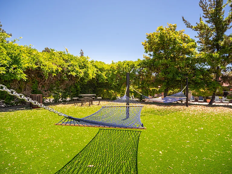 Hammock courtyard