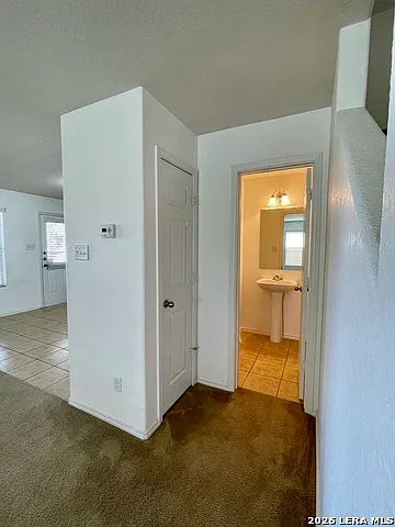 8635 Silver Willow — Photo 8