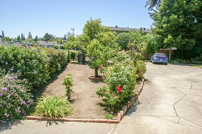 2 bed, 466 sqft, $2,890 — Photo 3