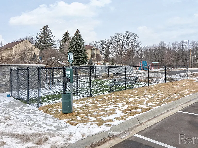 Dog Park