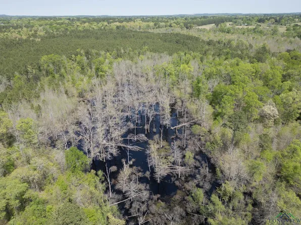 Diana S, Diana, TX 75640