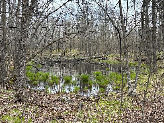 3rd image of 39987 Cass Line Rd