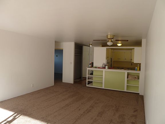 4th image of 1121 N Albion St APT 709