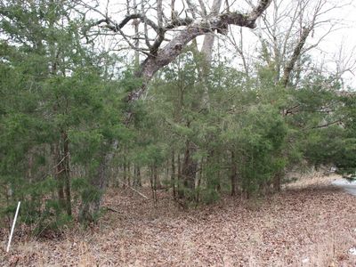 23 Sargent Pepper Dr, Flippin, AR, 72634