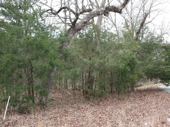 23 Sargent Pepper Dr, Flippin, AR 72634