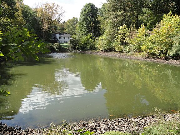 View from back of property