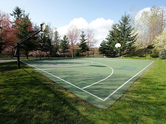 Community Courts