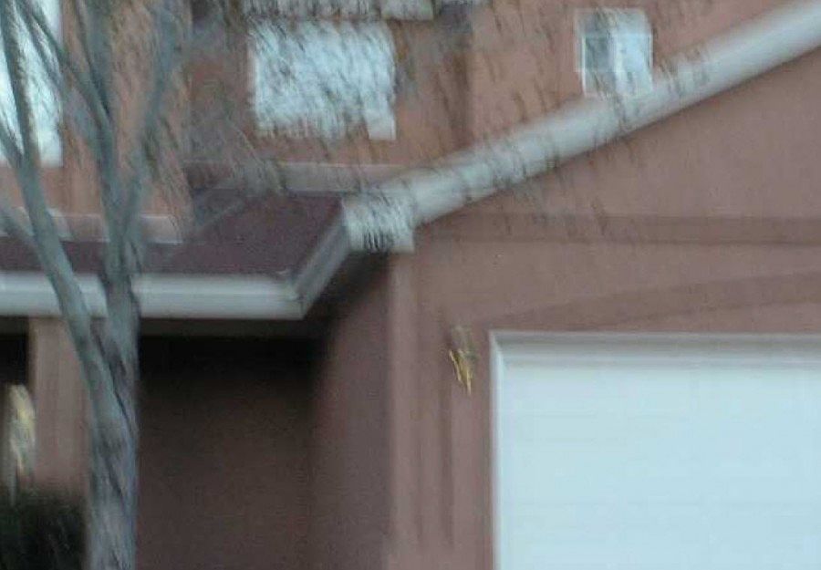 2nd image of 805 Corel Dr SW