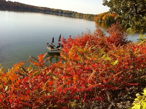 Dock in fall