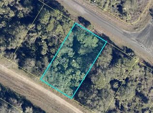 1919 Walcott Loop, Lehigh Acres, FL 33972