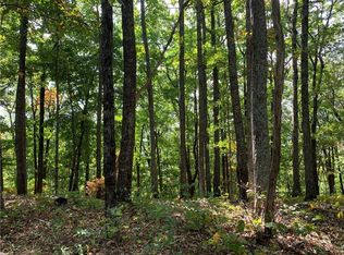 7207 Ridgeview Dr, Big Canoe, GA 30143