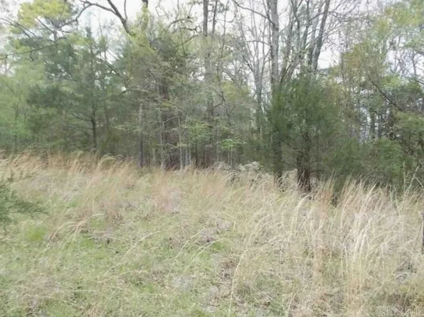 Thompson Bay Loop, Scranton, AR 72863