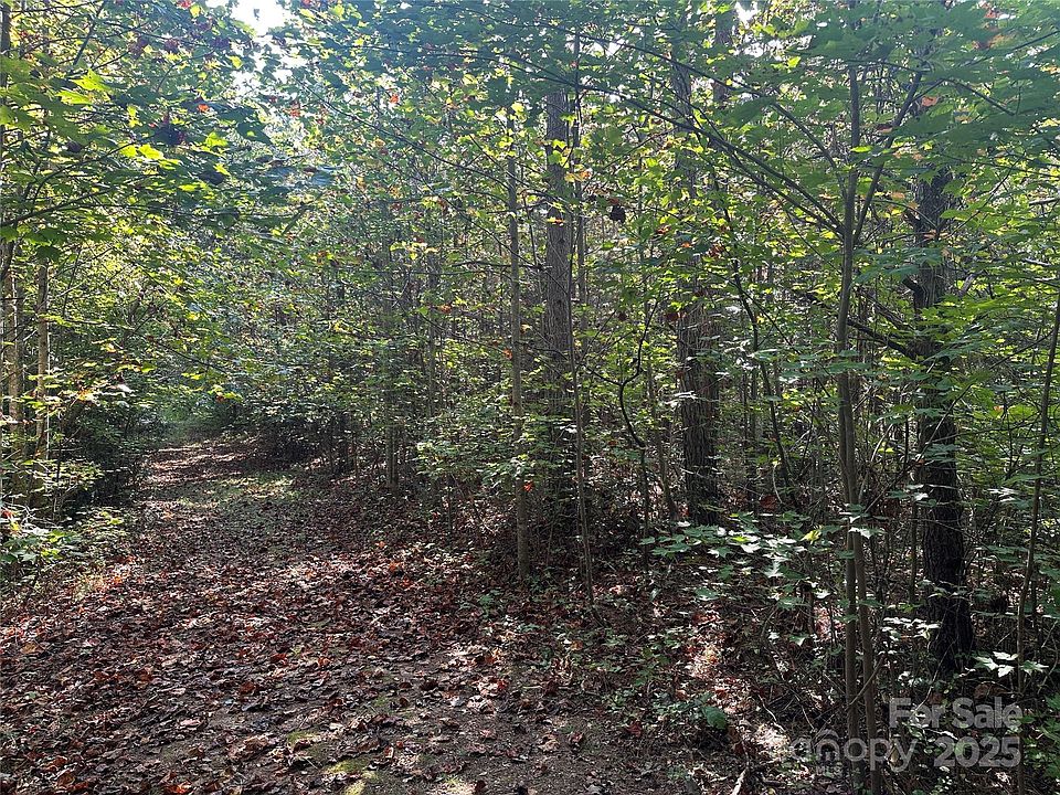 2nd image of TRACT 1 Timber Rd