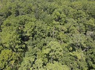 Salyers Rd #7000, Clermont, FL 34714