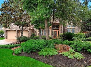 18 Ivory Moon Pl, Spring, TX 77381