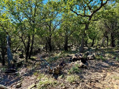 LOT 1 N Price Rd, Mineral Wells, TX, 76067
