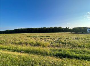 Granger Rd, Medina, OH 44256