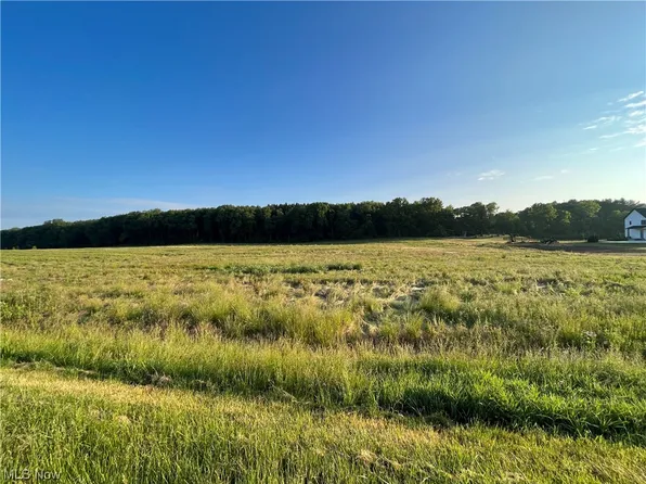 Granger Rd, Medina, OH 44256