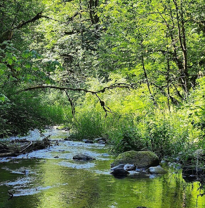 1st image of 7882 Silver Lake Road