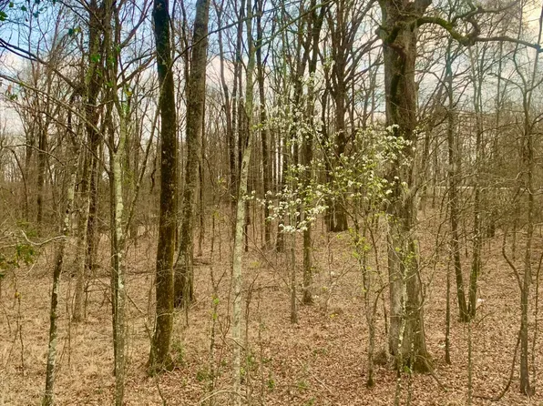 0 Warwick Rd Lot 6, Clinton, MS 39056