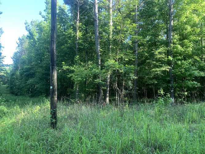 New Light Rd, Starkville, MS 39759 Zillow