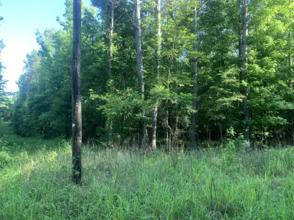 New Light Rd, Starkville, MS 39759