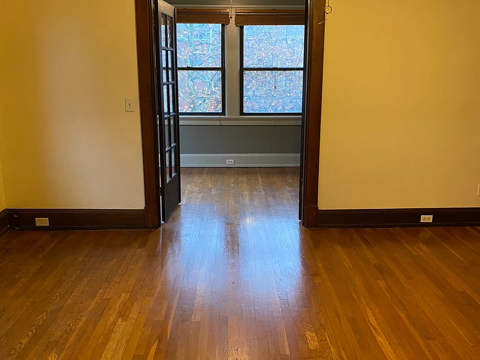 2 bed, 800 sqft, $1,350 — Photo 2