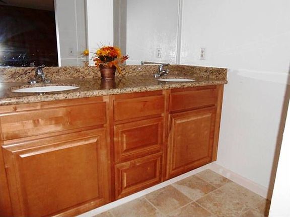 Master bath vanity