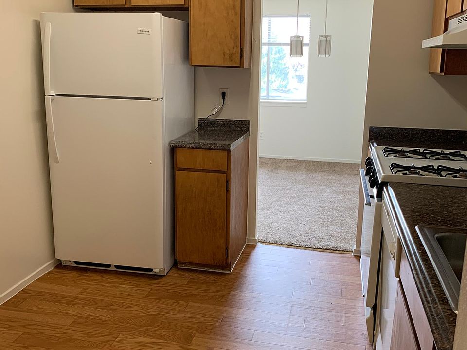 Kitchen - brand new fridge!