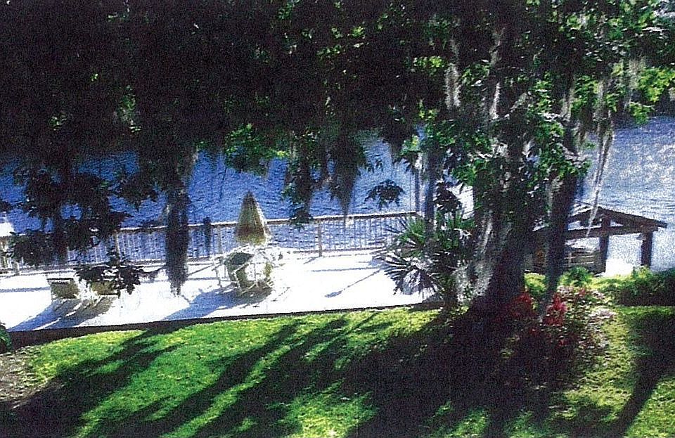 Back yard