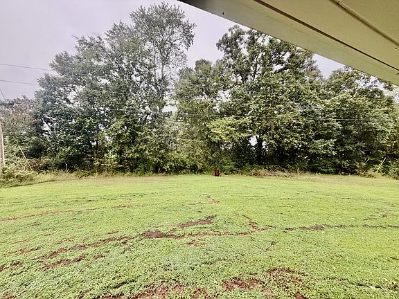4th image of 31861 County Road 8