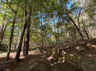 Tdb Delaware Ave, McComb, MS 39648