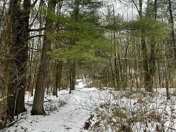 4th image of 33 Arrowhead Dr